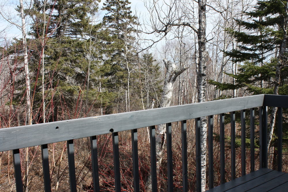Superior Ridge Resort Motel Schroeder Kültér fotó